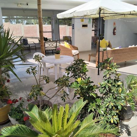 Icthus Paracas Extérieur photo