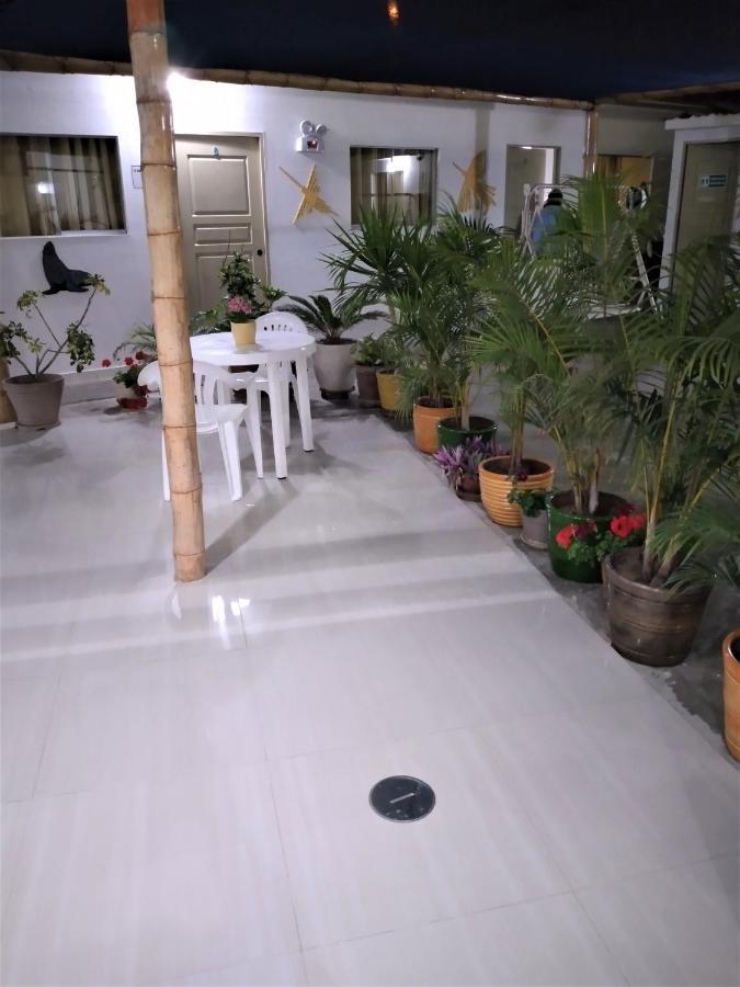 Icthus Paracas Extérieur photo